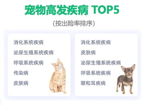 给猫猫狗狗看病平均单次要花2000多！养宠成本怎么缓解？