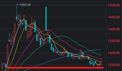 神秘力量出手了！券商股盘中急拉 跨境支付、通信服务领涨