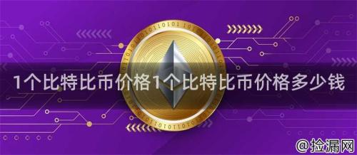 1个比特比币价格1个比特比币价格多少钱