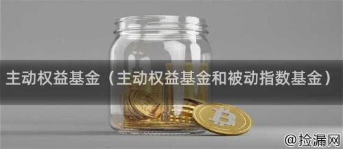 主动权益基金（主动权益基金和被动指数基金）