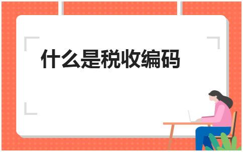 税务编码是纳税人识别号吗 纳税人编码在哪里看