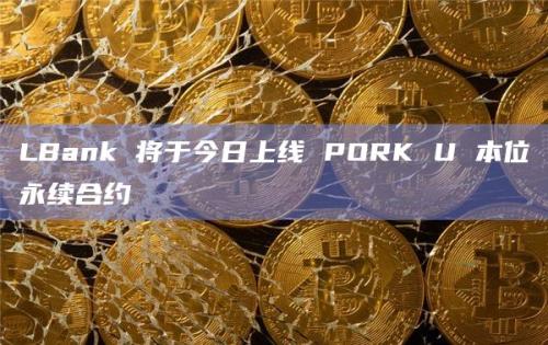 LBank今日上线PORK U本位永续合约