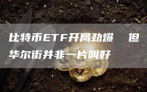 比特币ETF开局劲爆  但华尔街并非一片叫好