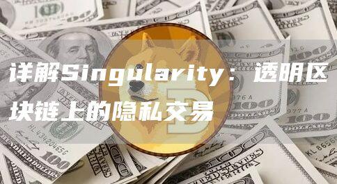 详解Singularity：透明区块链上的隐私交易