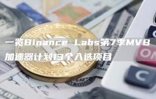 一览Binance Labs第7季MVB加速器计划13个入选项目