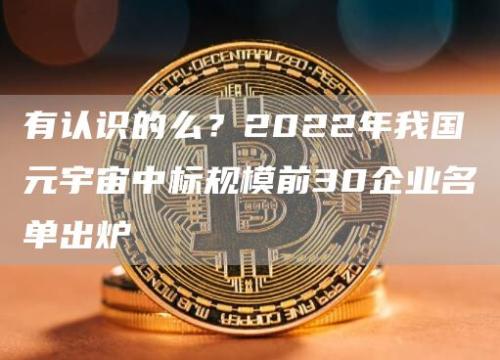 有认识的么？2022年我国元宇宙中标规模前30企业名单出炉