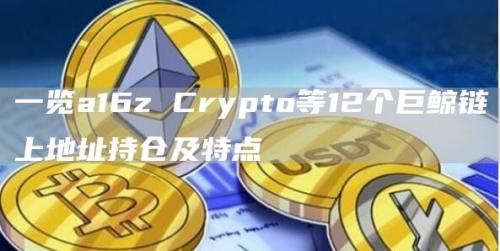 一览a16z Crypto等12个巨鲸链上地址持仓及特点