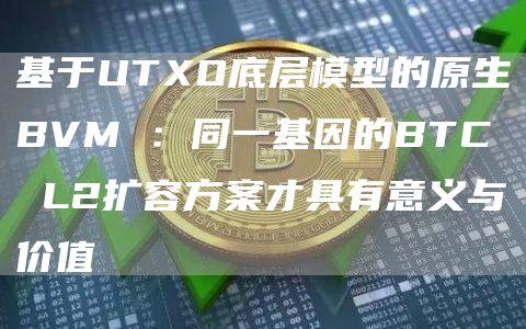 基于UTXO底层模型的原生BVM ：同一基因的BTC L2扩容方案才具有意义与价值