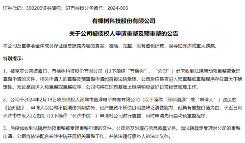 连亏3年，跨境出口电商被债权人申请重整及预重整！