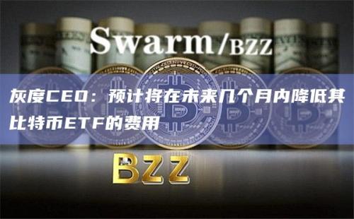 灰度CEO：预计将在未来几个月内降低其比特币ETF的费用