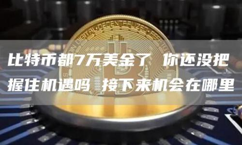 比特币都7万美金了 你还没把握住机遇吗 接下来机会在哪里