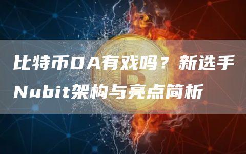 比特币DA有戏吗？新选手Nubit架构与亮点简析