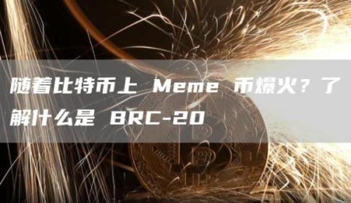 随着比特币上 Meme 币爆火？了解什么是 BRC-20