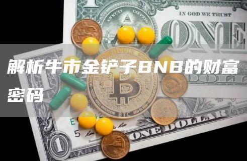 解析牛市金铲子BNB的财富密码