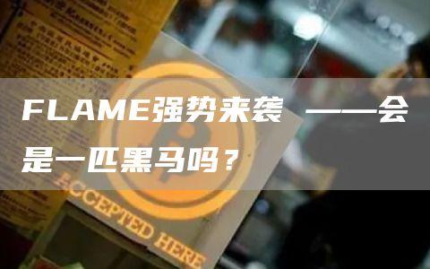 FLAME强势来袭 ——会是一匹黑马吗？