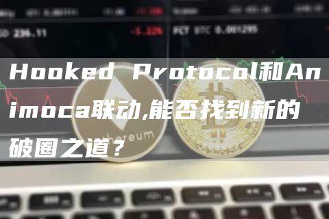 Hooked Protocol和Animoca联动,能否找到新的破圈之道？