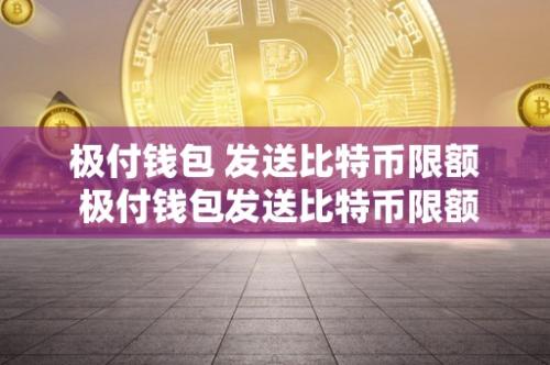 极付钱包比特币发送的限制和操作方法