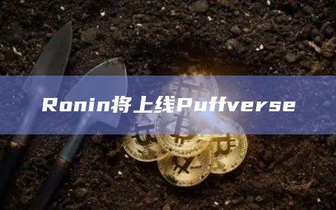 链游平台Puffverse已完成融资