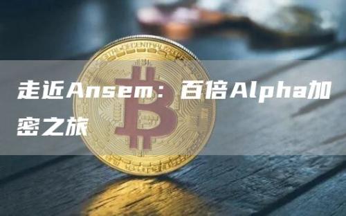 走近Ansem：百倍Alpha加密之旅