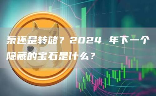 泵还是转储？2024 年下一个隐藏的宝石是什么？