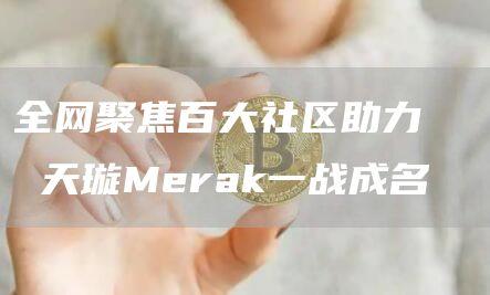 全网聚焦百大社区助力   天璇Merak一战成名