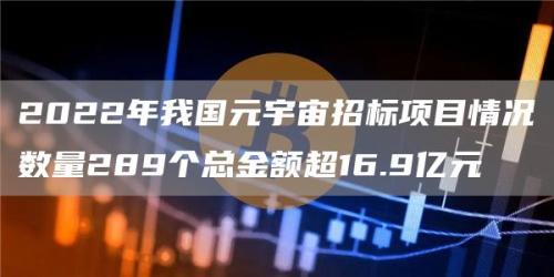 2022年我国元宇宙招标项目情况数量289个总金额超16.9亿元