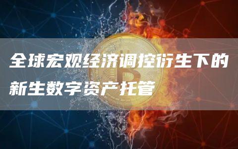 全球宏观经济调控衍生下的新生数字资产托管