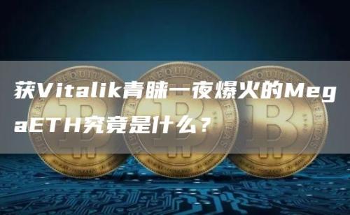 获Vitalik青睐一夜爆火的MegaETH究竟是什么？