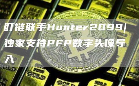 盯链联手Hunter2099| 独家支持PFP数字头像导入