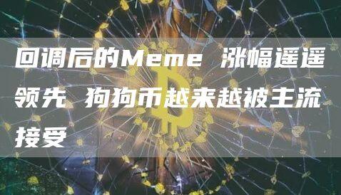 回调后的Meme 涨幅遥遥领先 狗狗币越来越被主流接受