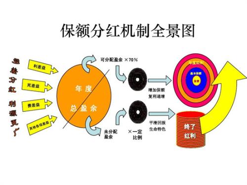 分红型保险是陷阱吗？分红型保险陷阱在哪？