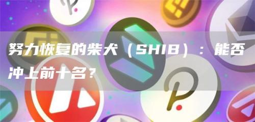 努力恢复的柴犬（SHIB）：能否冲上前十名？