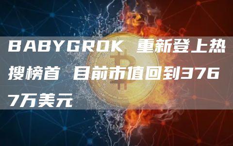 BABYGROK 重新登上热搜榜首 目前市值回到3767万美元