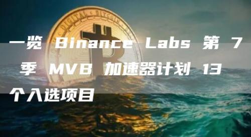 一览 Binance Labs 第 7 季 MVB 加速器计划 13 个入选项目